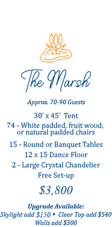 The Marsh