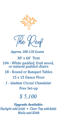 The Reef